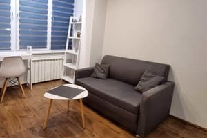 Квартира Home-Hotel на левом берегу ул. Митрополита Андрея Шептицкого, 1-а. Апартаменты трехместный ул.Шептицкого 1-а 2