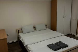 Стрелецкий 1